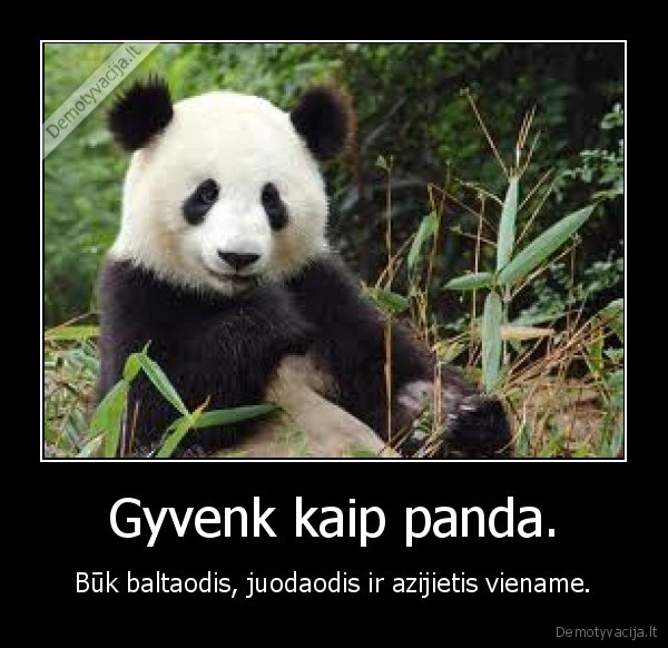 Gyvenk kaip panda.