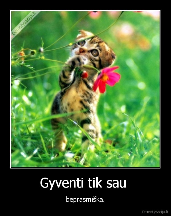 Gyventi tik sau 