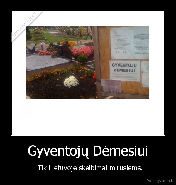 gyvenk, kol, gyvas