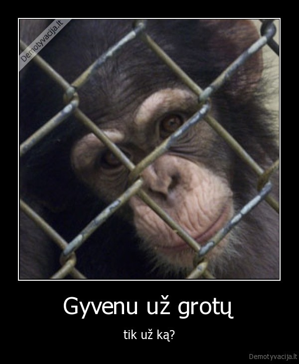 Gyvenu už grotų