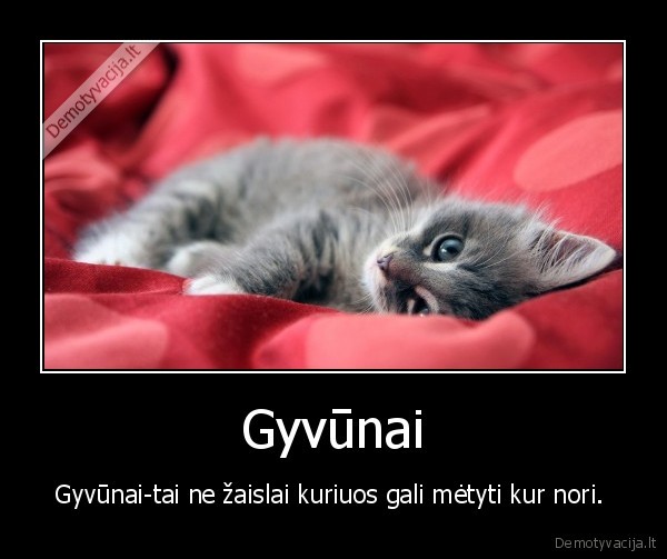 gyvunai