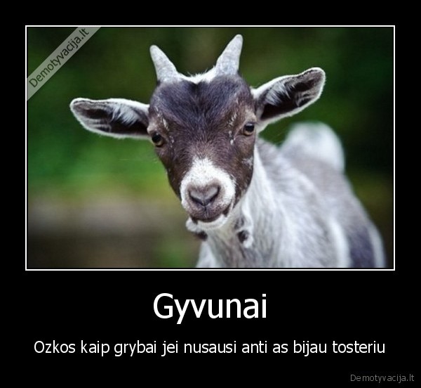 ozkos,nusausi,bijau