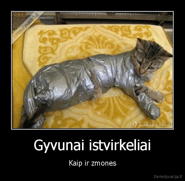Gyvunai istvirkeliai