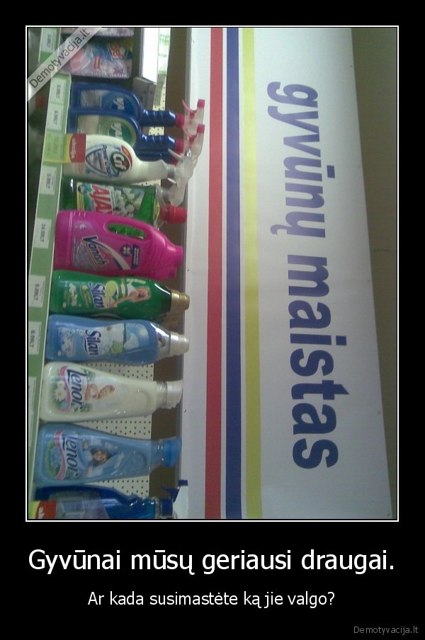 Gyvūnai mūsų geriausi draugai.