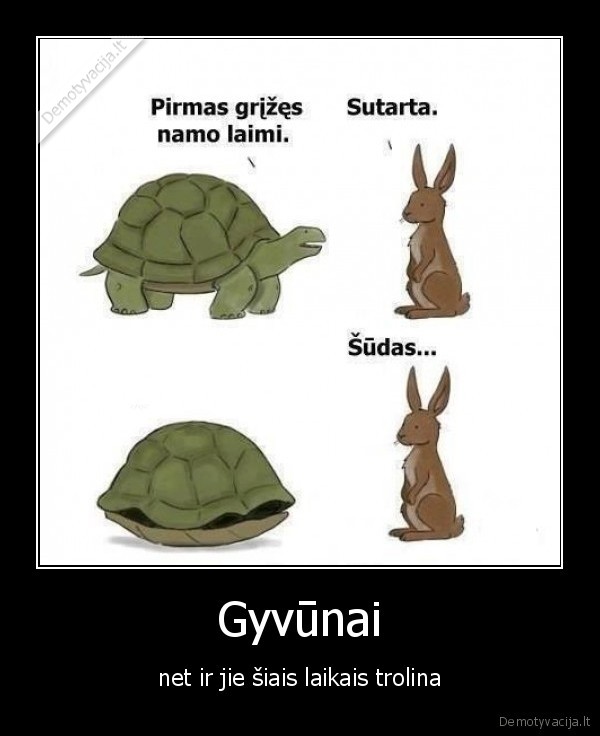 Gyvūnai