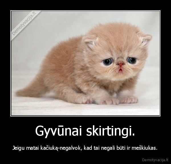 neapsigauk,susimastyk