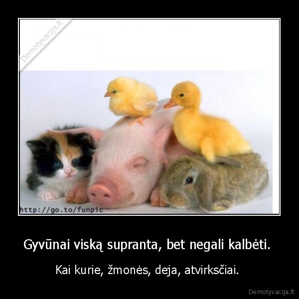 gyvunai