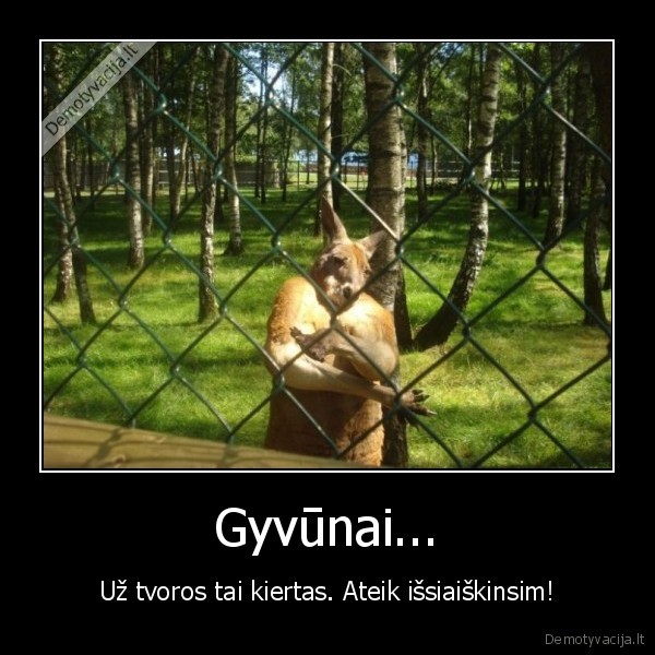 Gyvūnai...