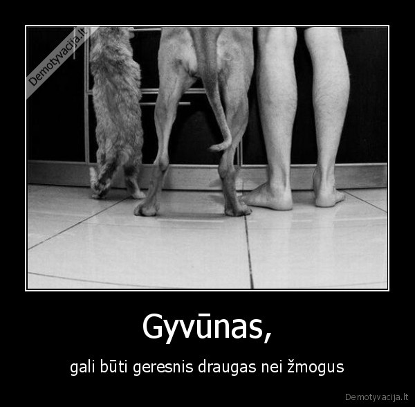 gyvunai,zmones