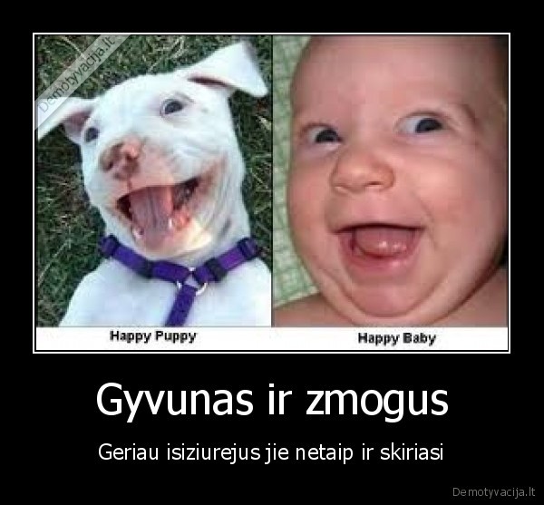 Gyvunas ir zmogus