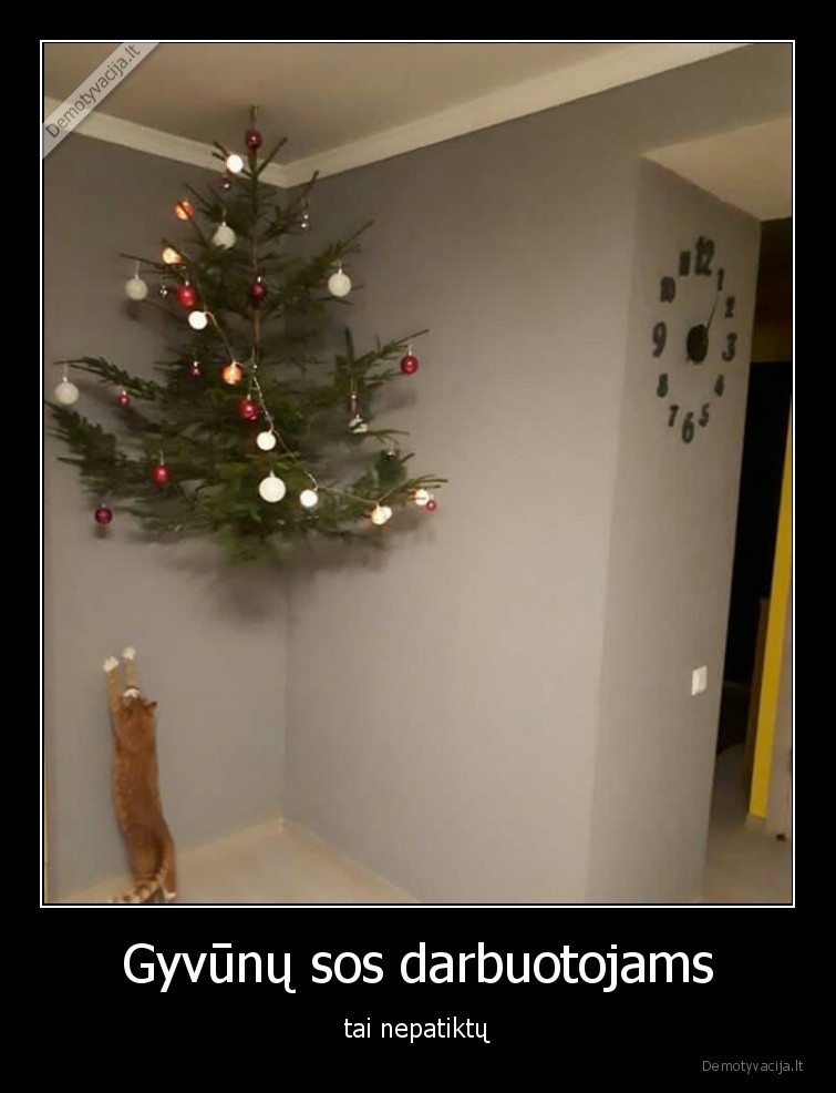 gyvunai,eglute