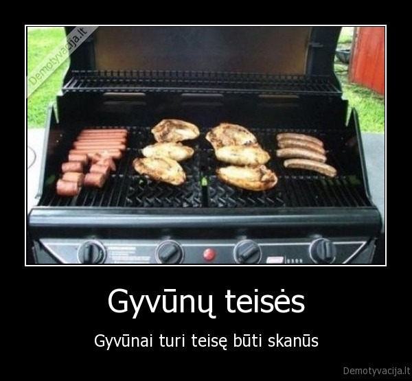 gyvunai,gyvunu, teises,maistas,mesa