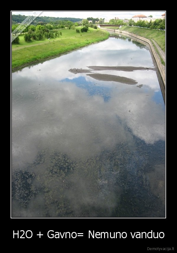 H2O + Gavno= Nemuno vanduo