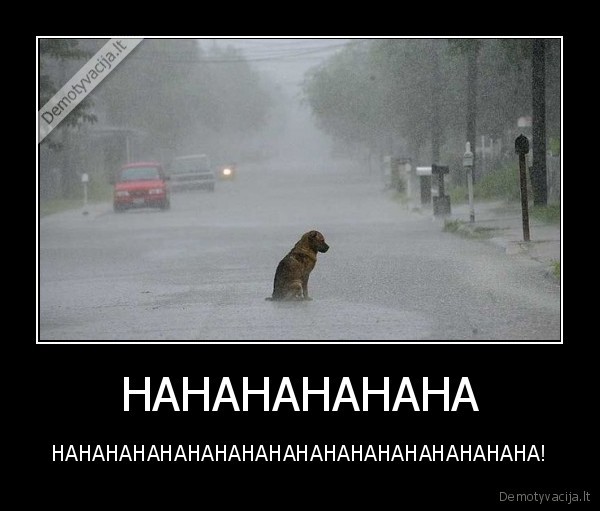 HAHAHAHAHAHA