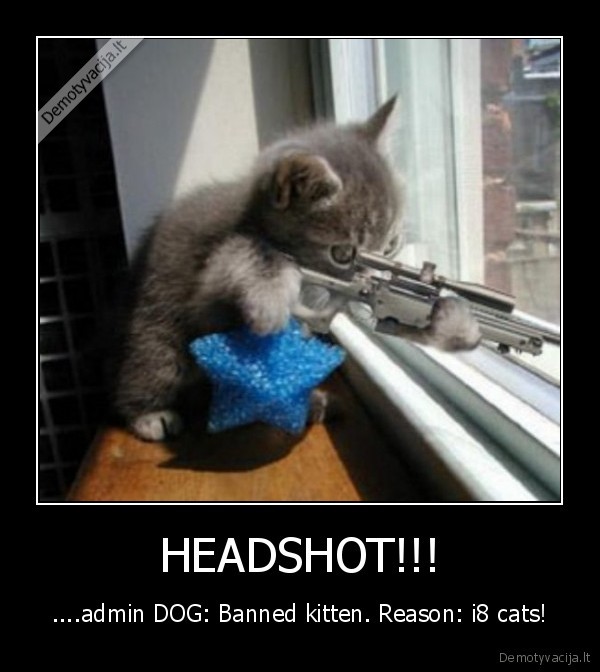 HEADSHOT!!!