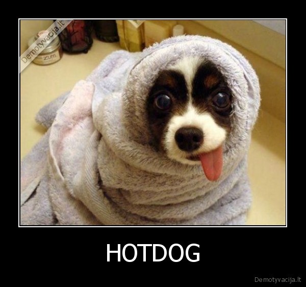 hotdog