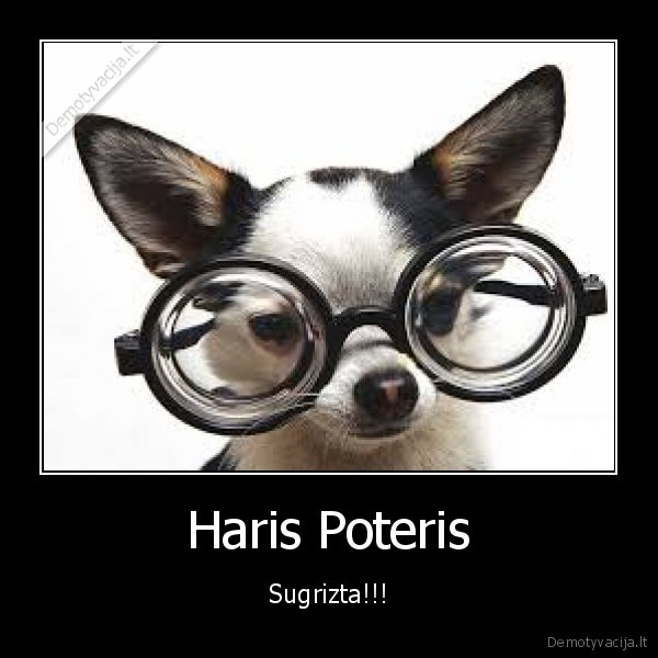 Haris Poteris