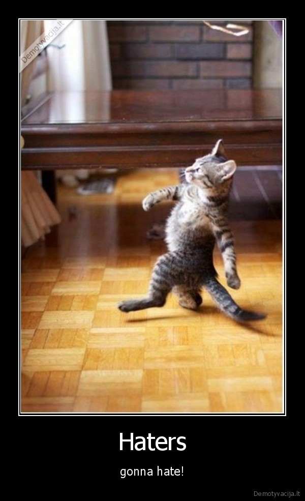 cat,9gag,haters,gonna,hate
