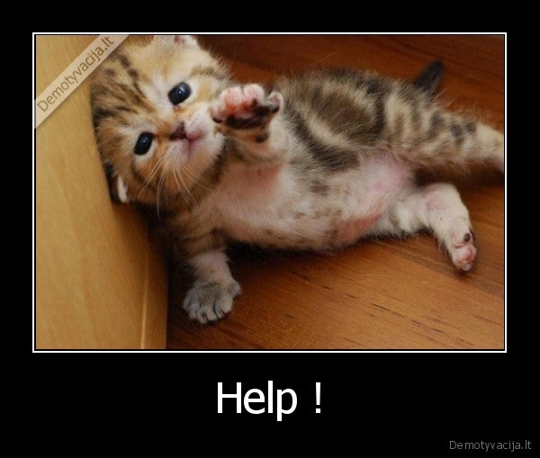 Help !
