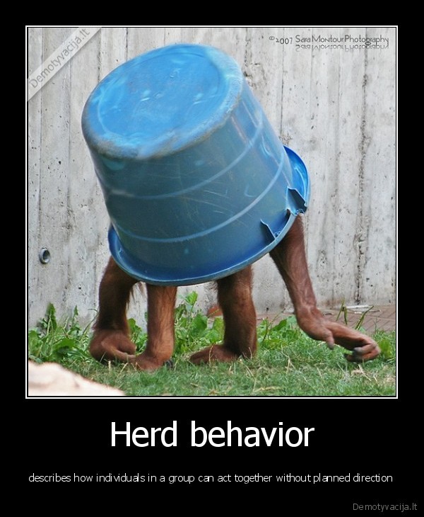 heard, behaviour,ice, bucket