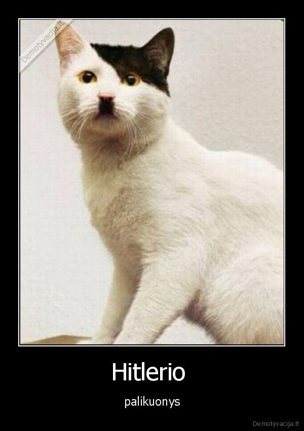 hitler, baby, is, coming