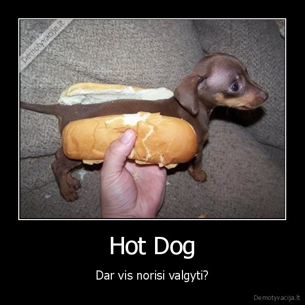 hot, dog, dar, vis, norisi, valgyt