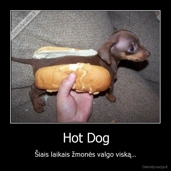 hotdog