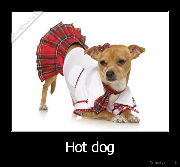 Hot dog