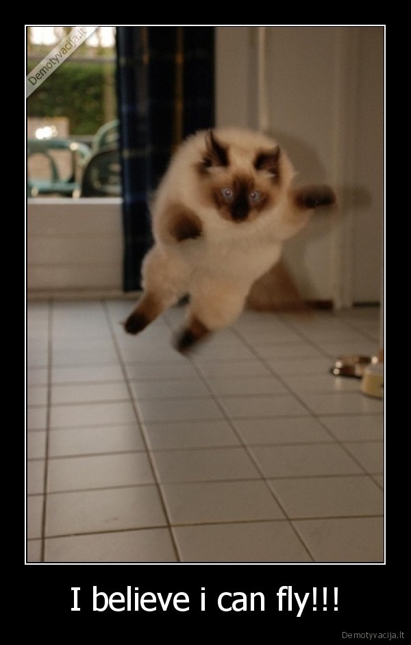 I believe i can fly!!!