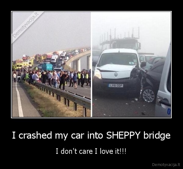 I crashed my car into SHEPPY bridge