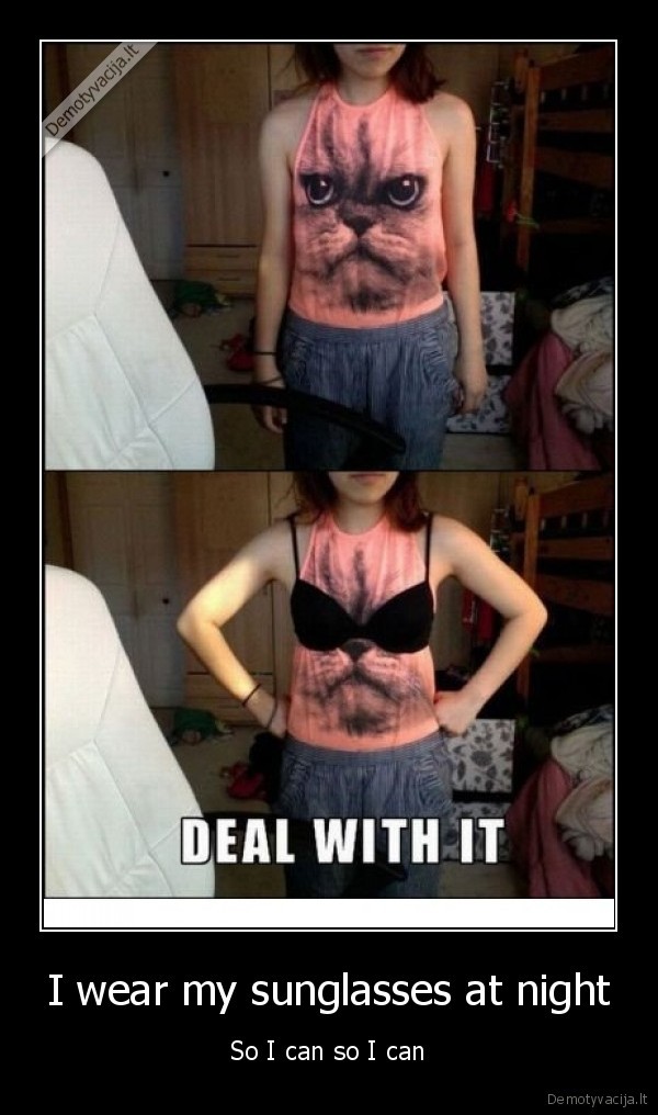 tiga, sunglasses, at, cat