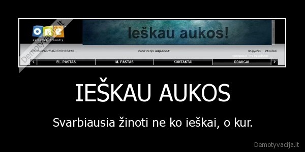 one.lt,aukos,allvas,allwaz