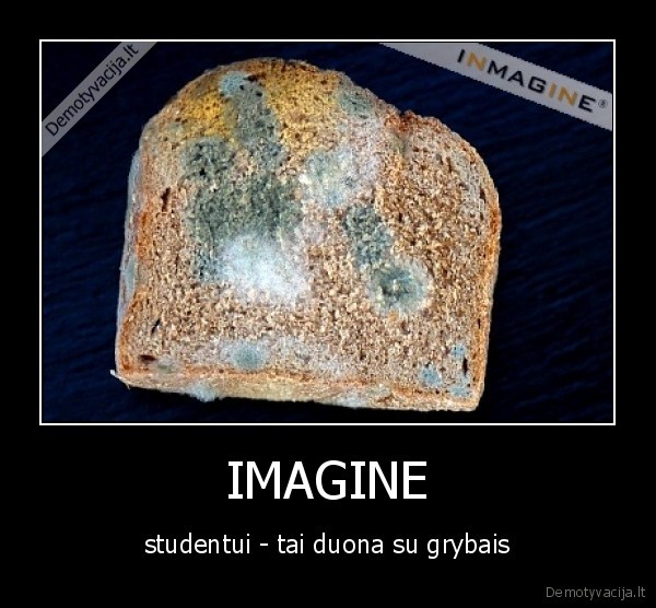 studento, duona