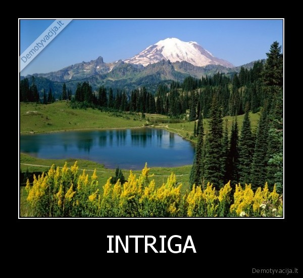 INTRIGA