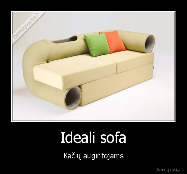 kates,ideali, sofa