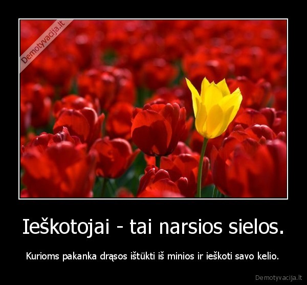 Ieškotojai - tai narsios sielos.
