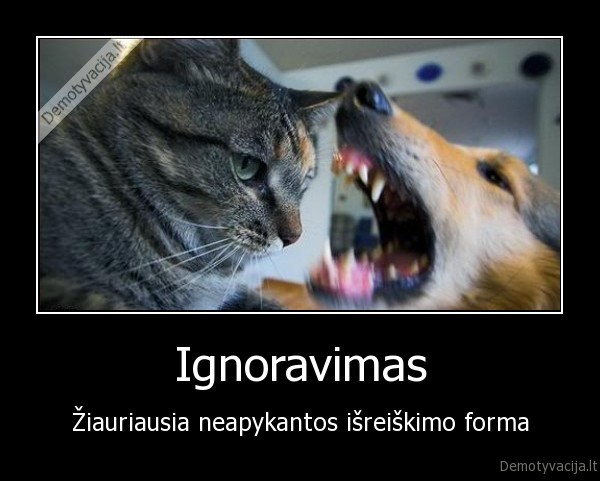 Ignoravimas