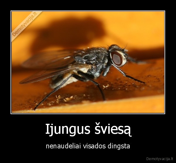 Ijungus šviesą