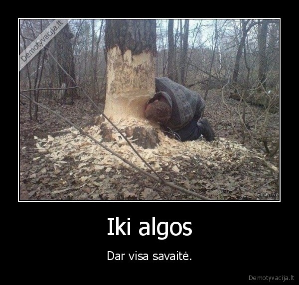 alga,badas