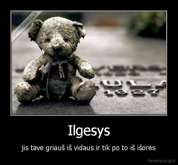 Ilgesys