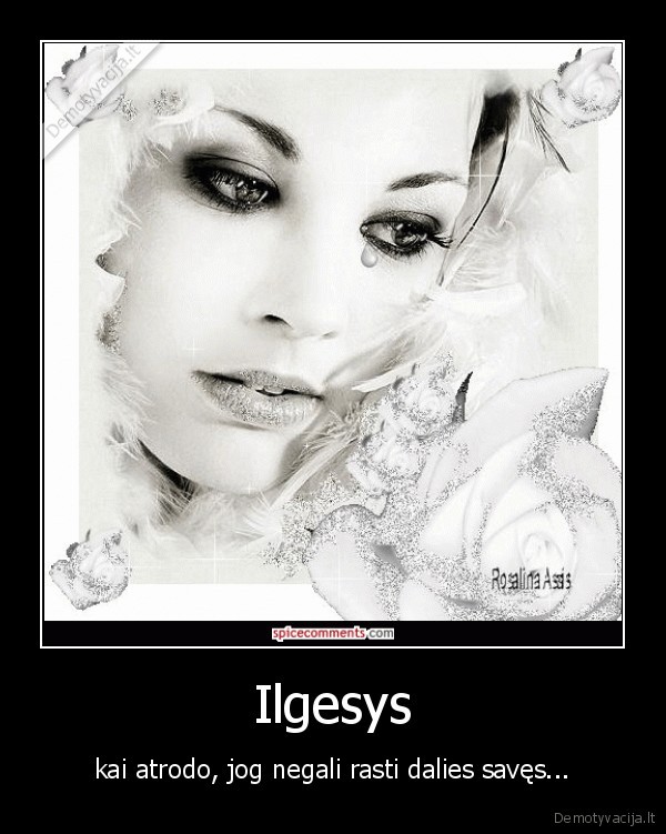 meile,ilgesys