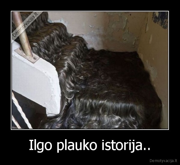 katinas, seriasi
