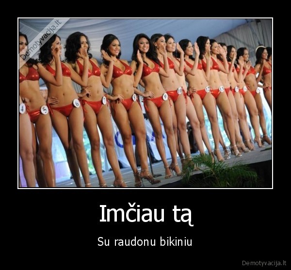 raudonas, bikinis,mis, rinkimai