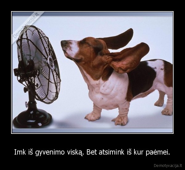 Imk iš gyvenimo viską. Bet atsimink iš kur paėmei.