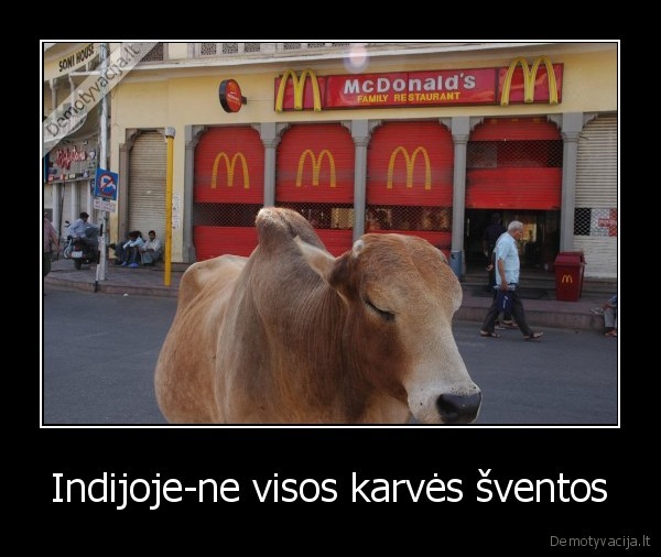 Indijoje-ne visos karvės šventos