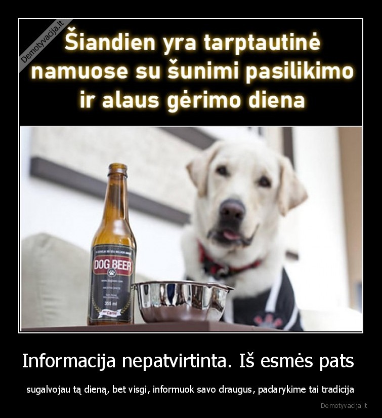 diena,alus,suo,tarptautine