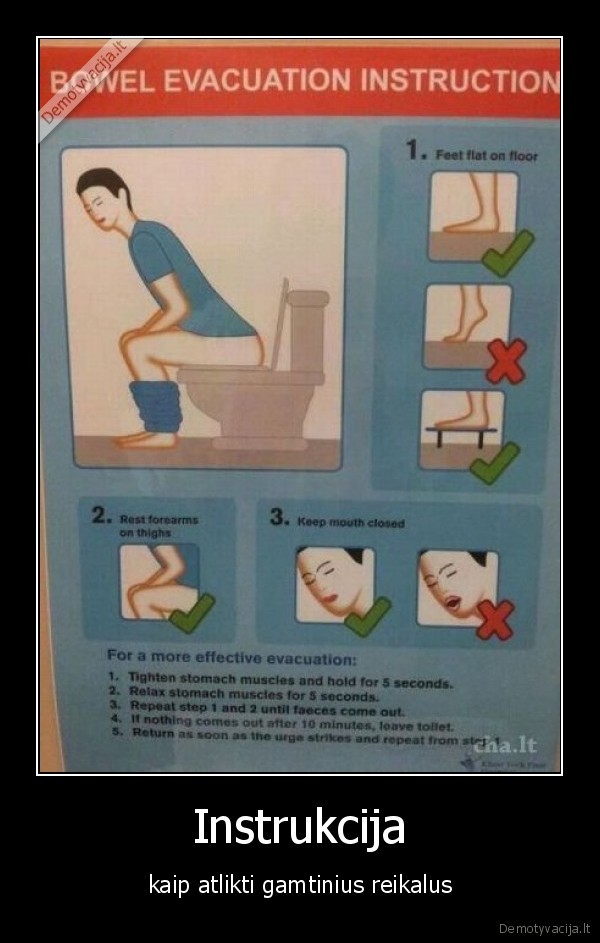 Instrukcija