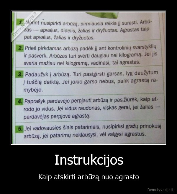Instrukcijos