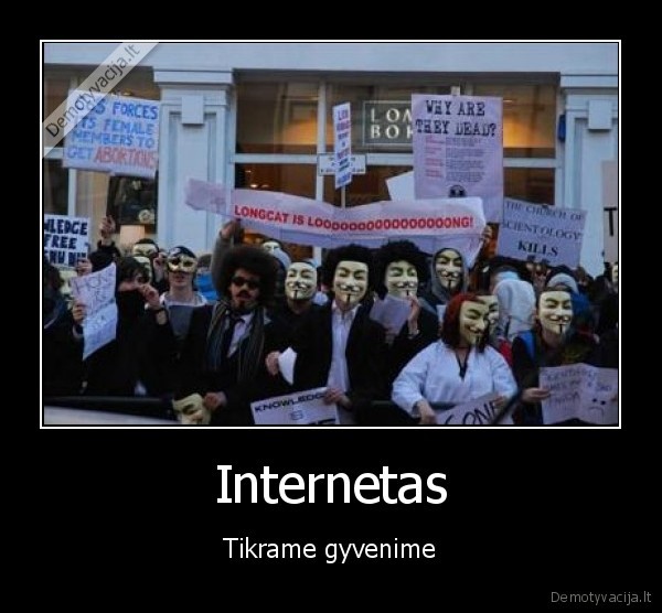 life,internet,long, cat