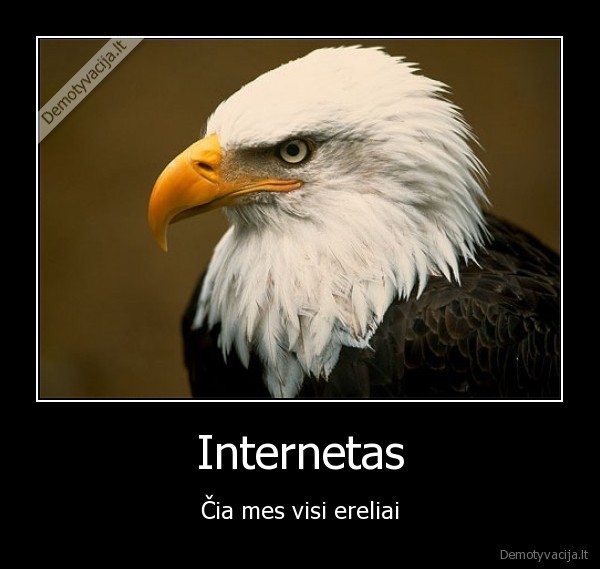 internetas, bushbababush, tudish, pyp, erelis, benas, tikras, vyras
